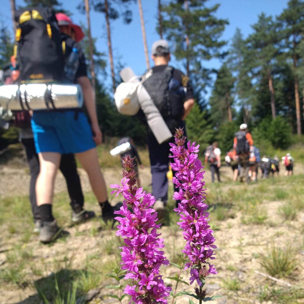 IMG_20250807_135342016